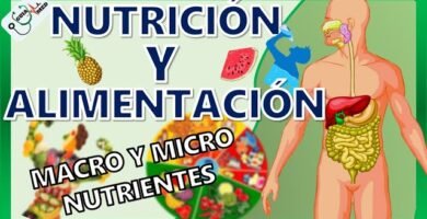 Guía de cómo hacer Podcast para Alimentación y Nutrición