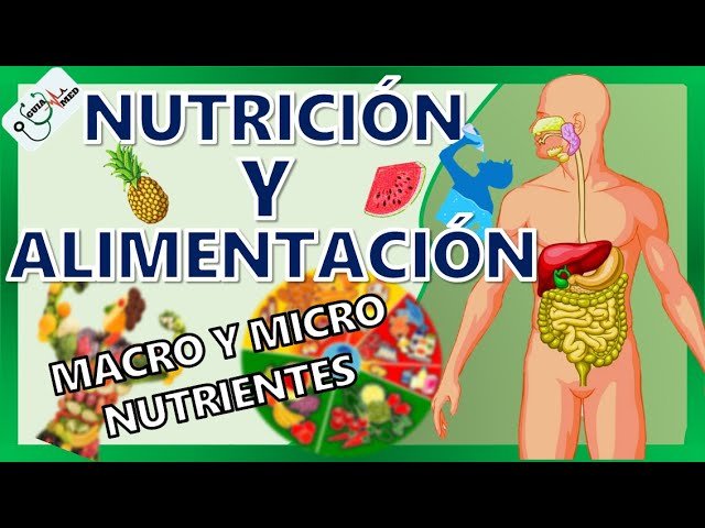 Guía de cómo hacer Podcast para Alimentación y Nutrición